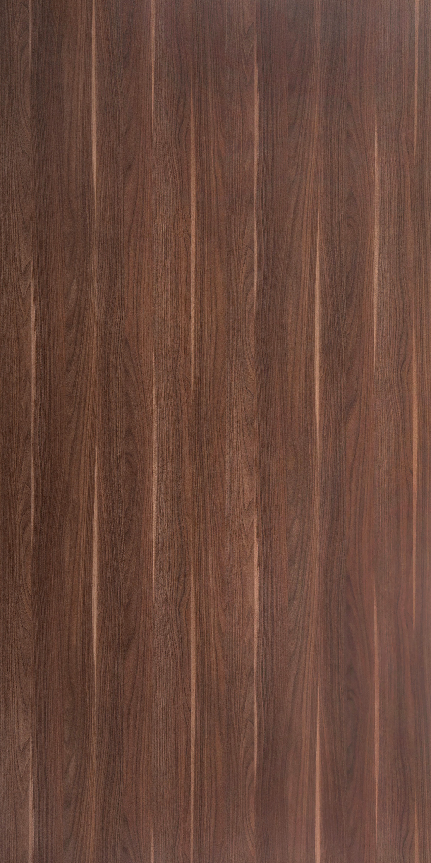 Elegant Walnut