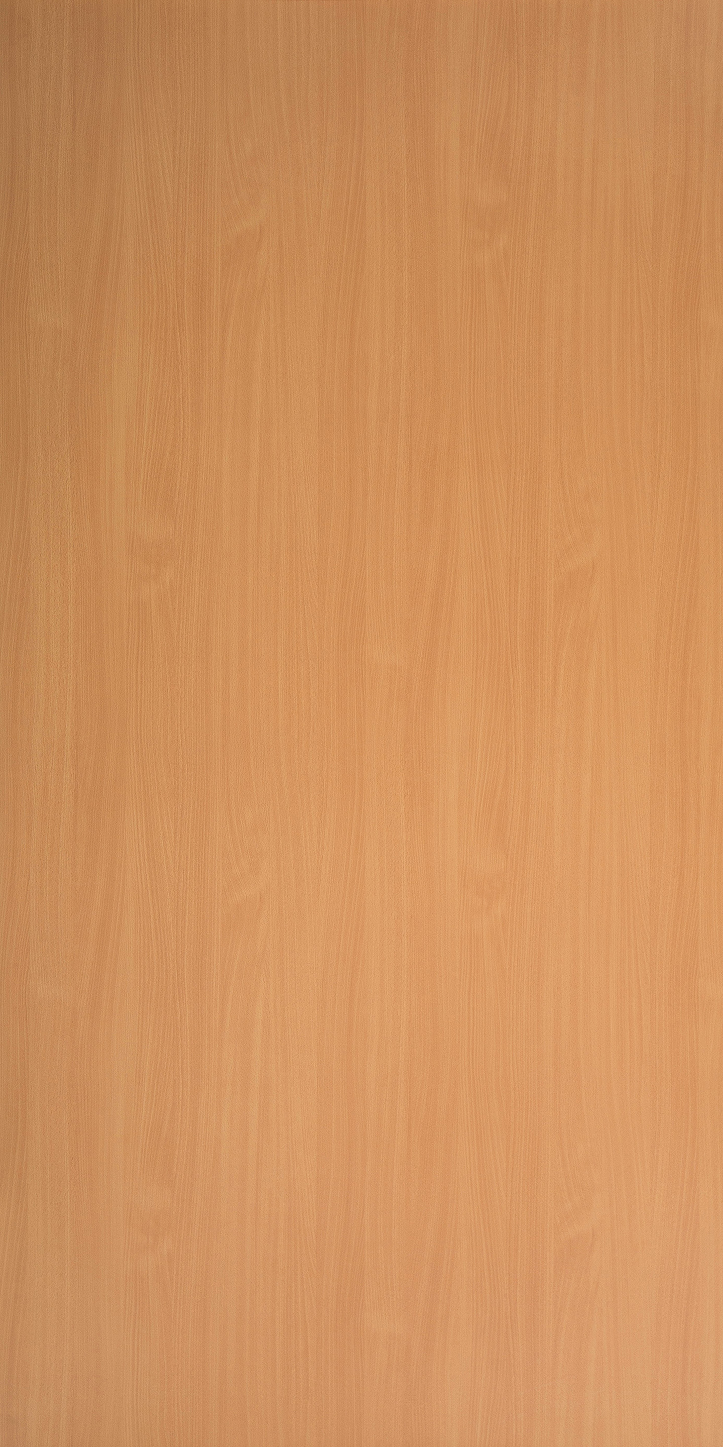 Bavarian Beech