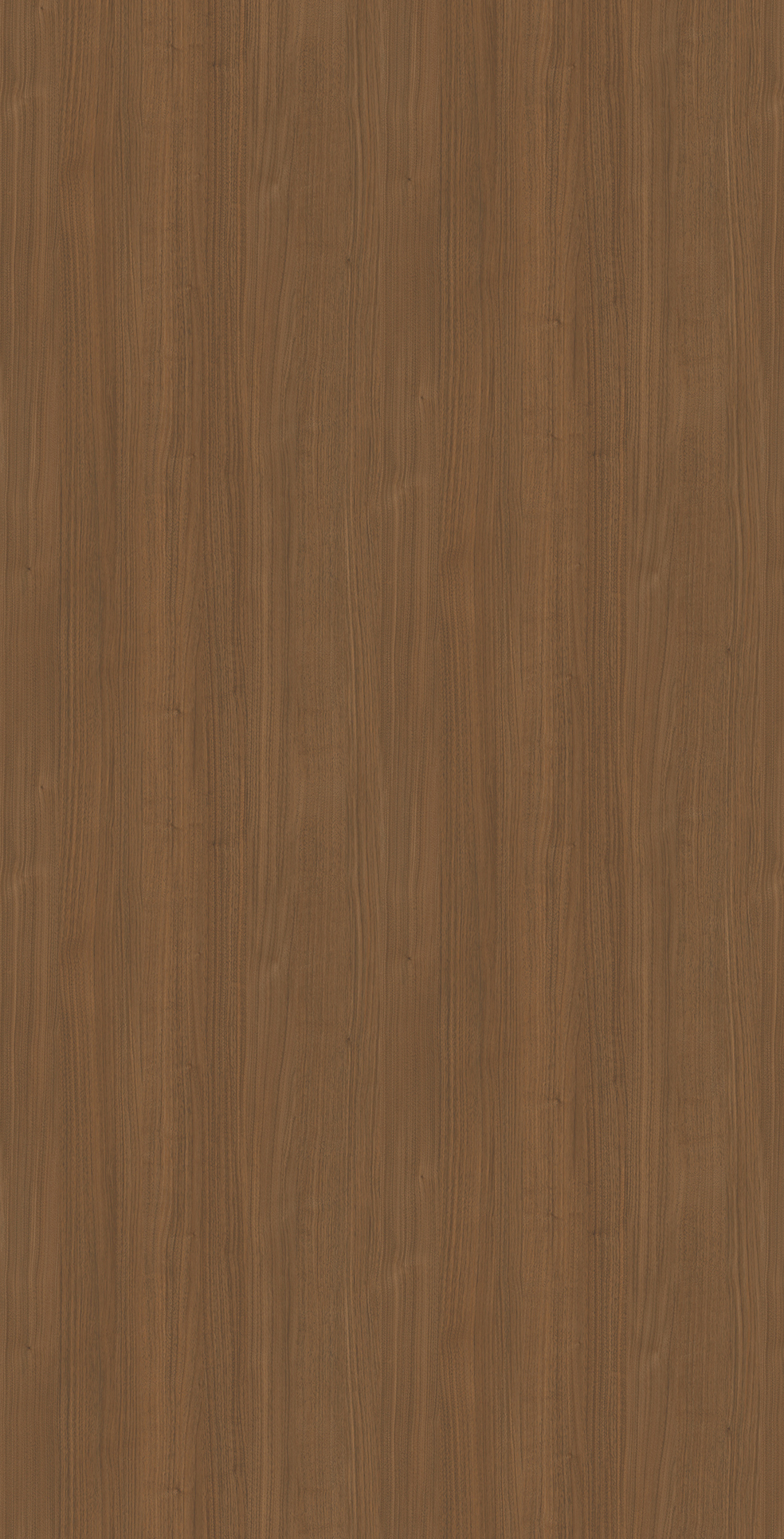 Gray Alabaster Oak